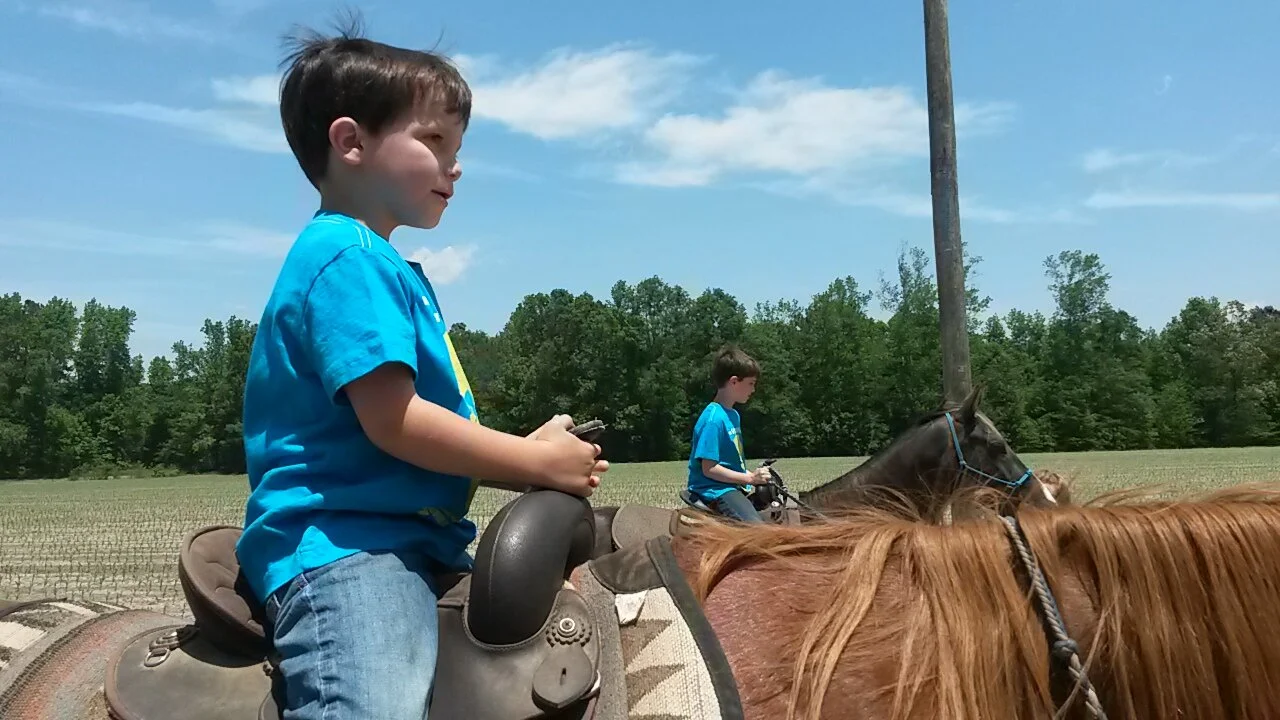 About — Fourth Rock Stables