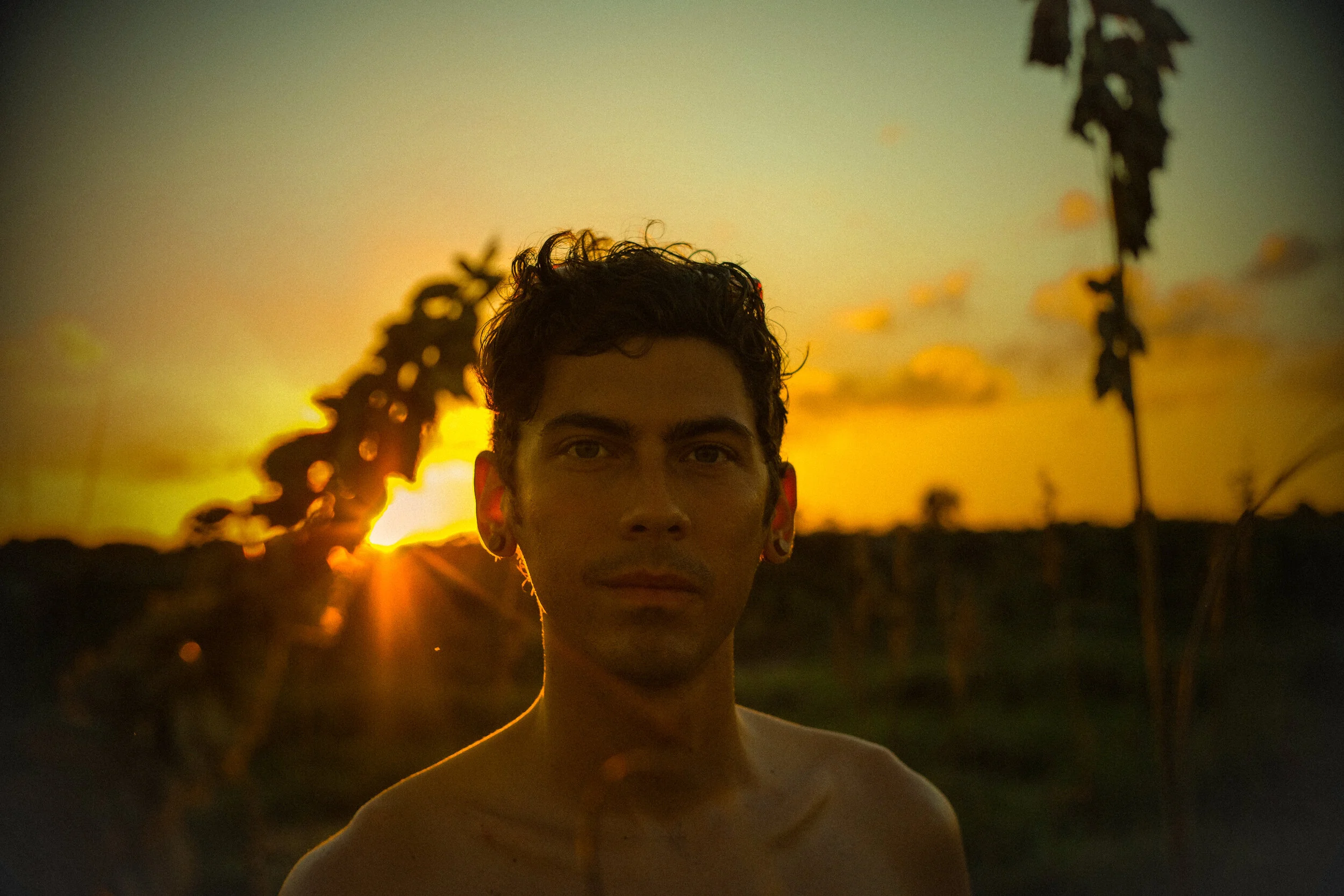 Young man with dark curly hair and earrings standing outdoors at sunset, with the sun setting behind him in a field with tall plants.
