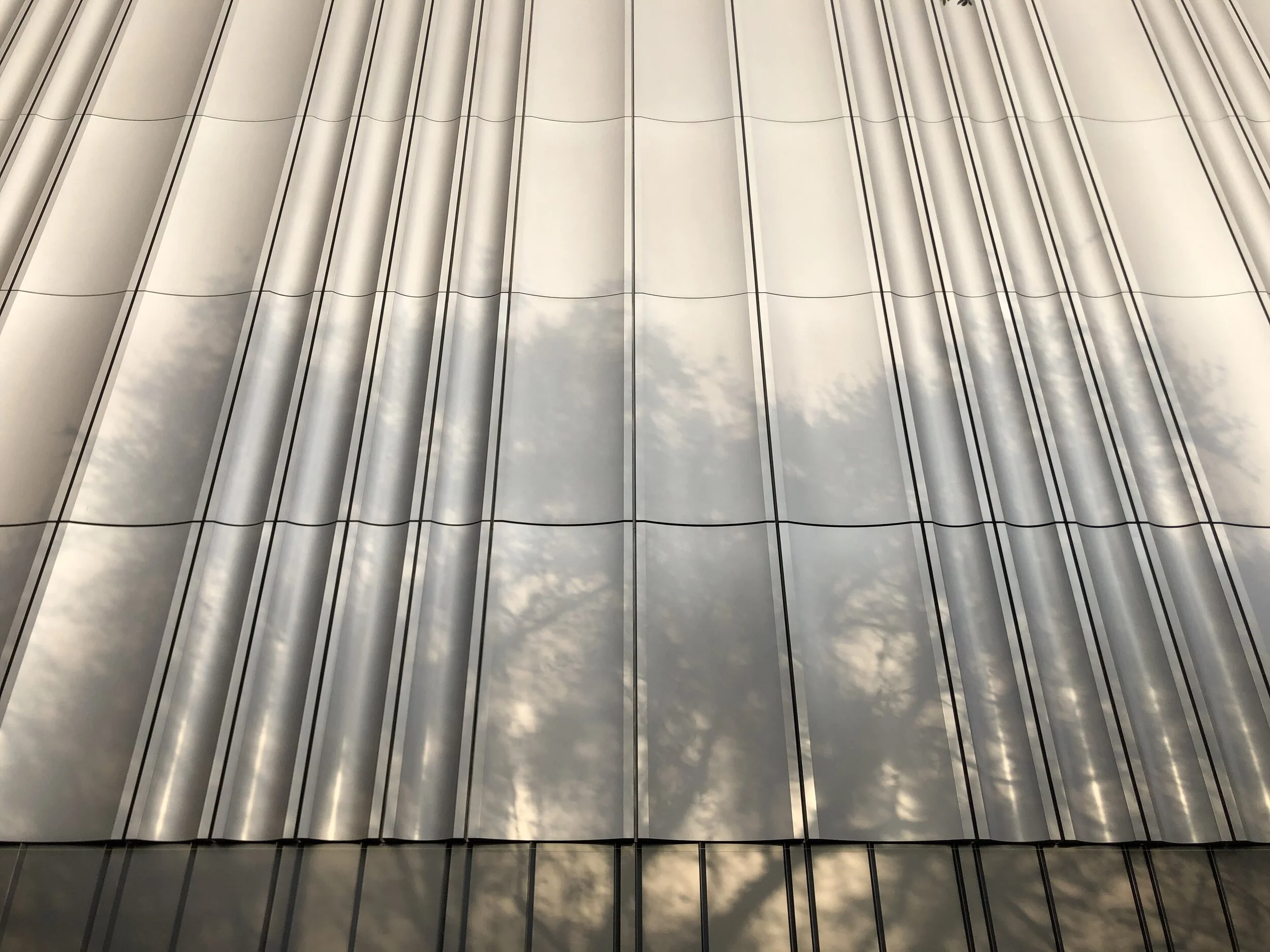 200130_Site Visit_SC_IMG_5912 (160).JPG