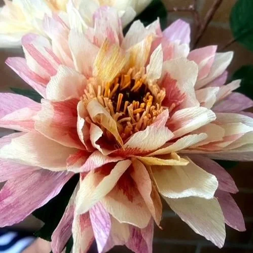 image5+%282%29.jpg