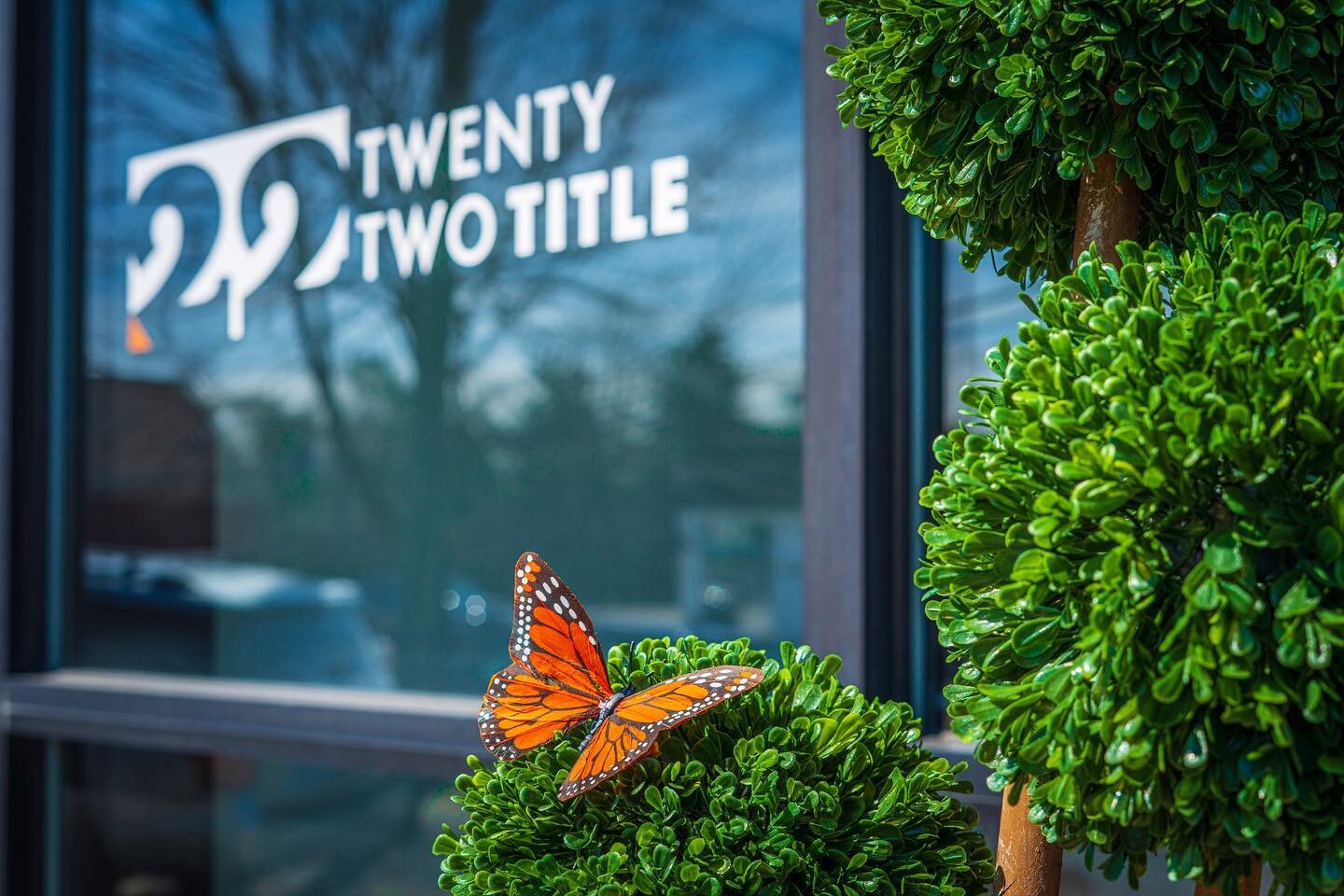 Spring is HERE at 22 Title, and we couldn't be loving our new floral arrangements here at our office. ✨🌷😍

💐🍃🌷@avemaria_landscape 

#22Title #TitleTalk #Homeownership #TitleInsurance #JustClosed #TitleInsurance #TitleInsuranceMI #Mortgage #Title