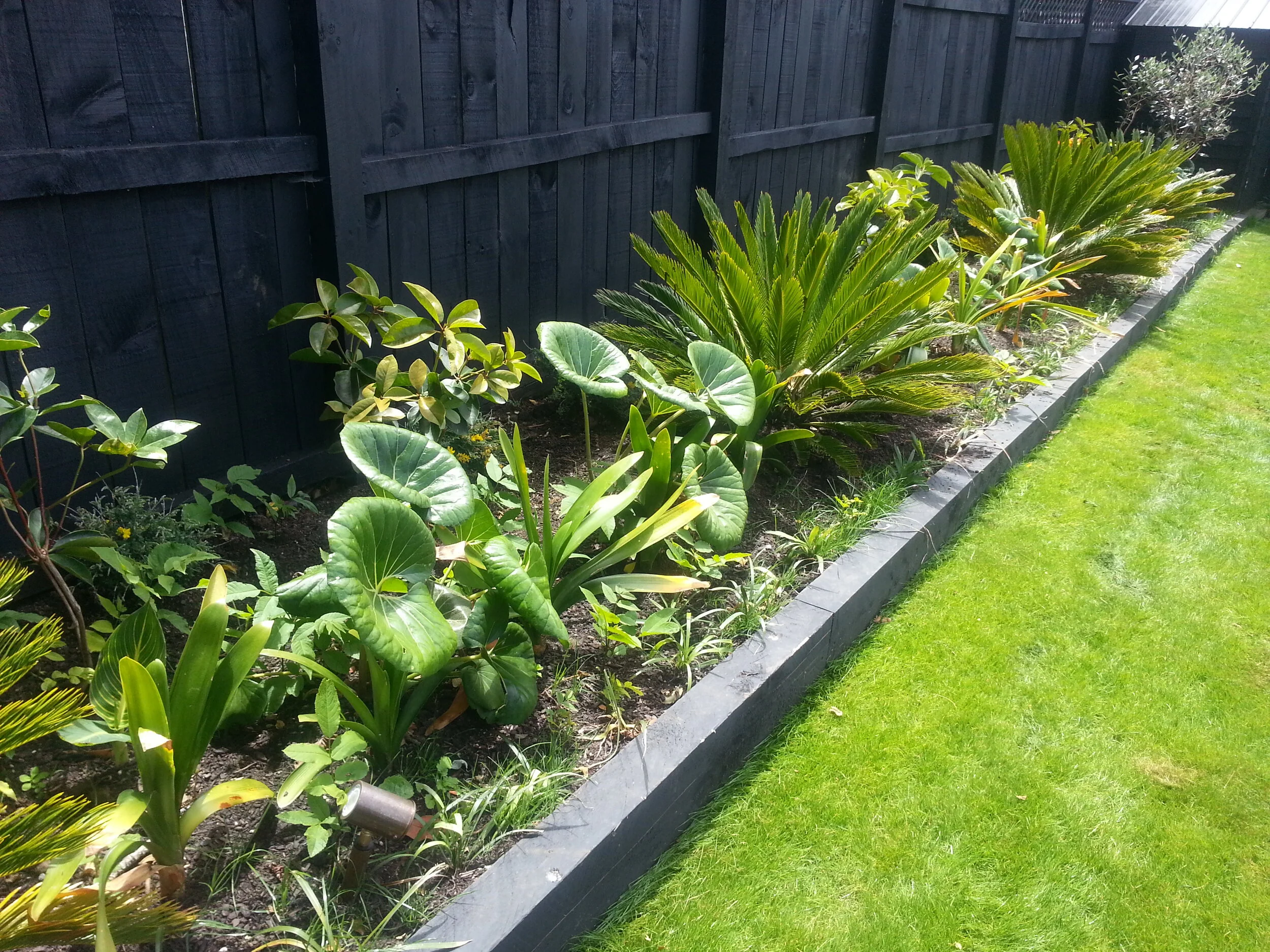 - Chantelle, Auckland