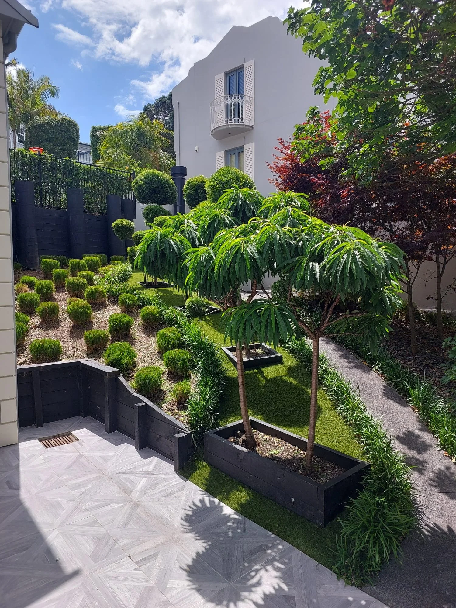 - Morgaine, Auckland