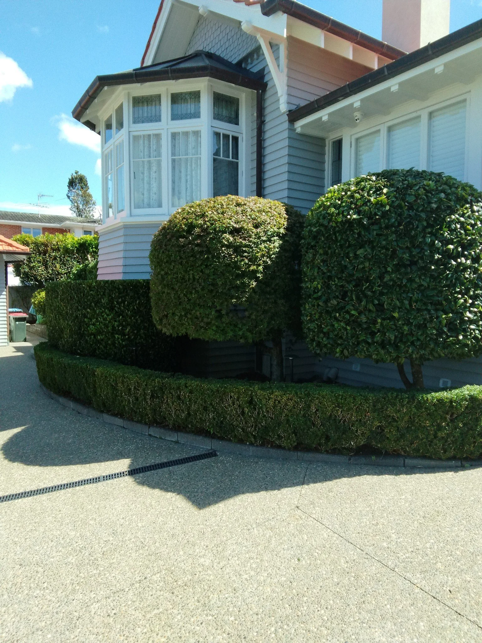 photo_20260216_060710 (002).jpg