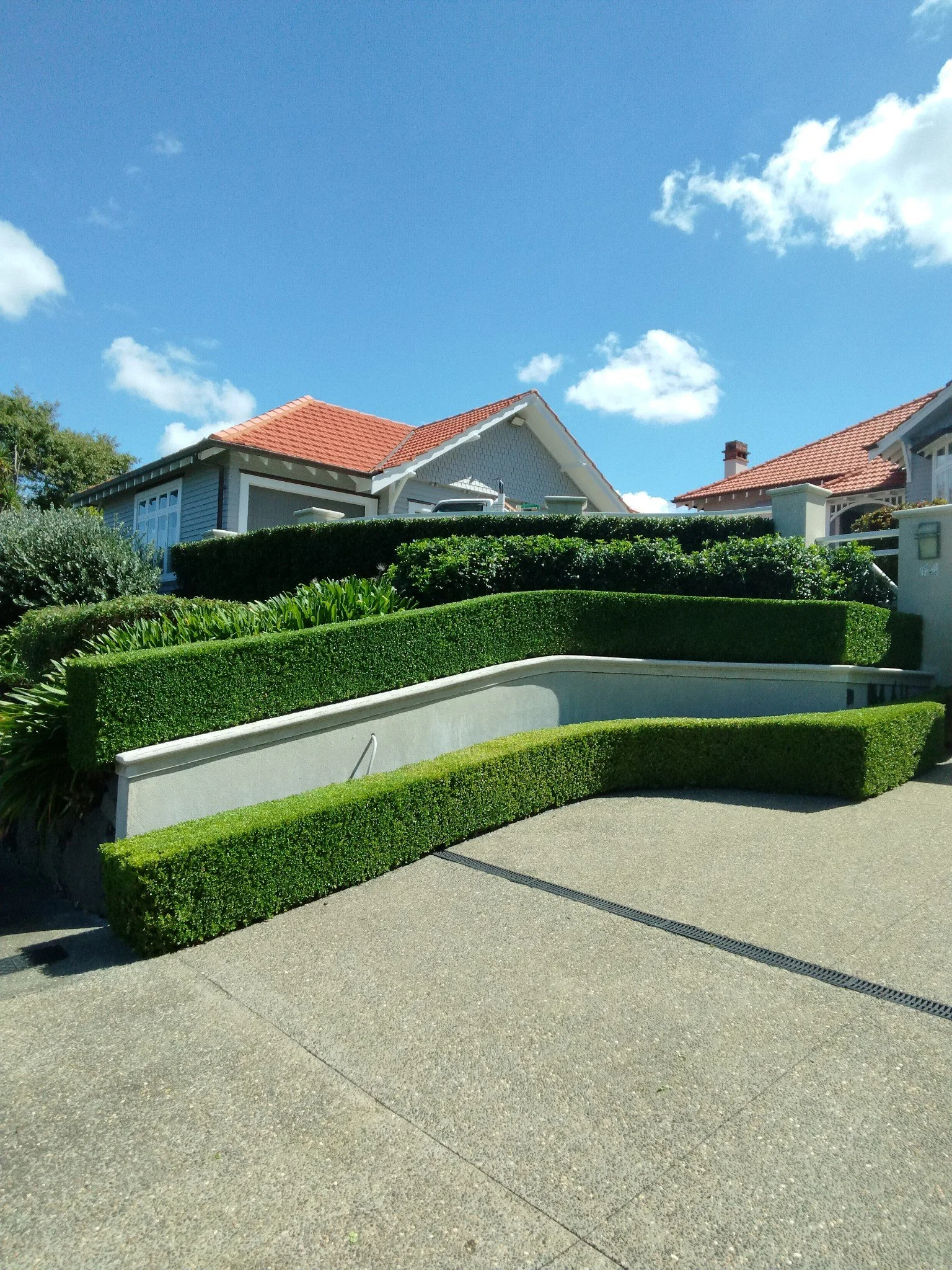 photo_20260216_993158 (002).jpg