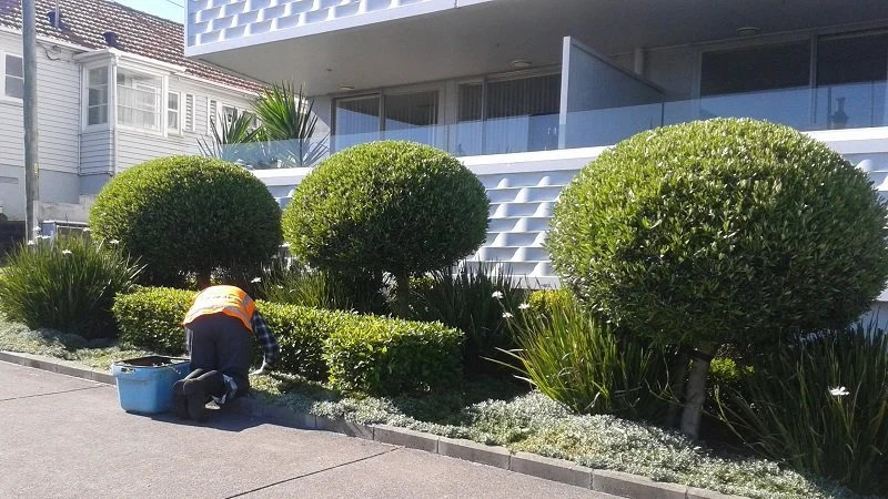 20150929_102107.jpg