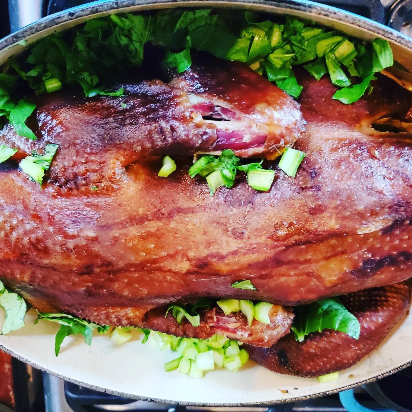 Farm to smoker to cast iron. Cold smoked muscovy duck then cooked in the le crueset with tatsoi garden greens. If you've never cooked duck before don't let it intimidate you, the secret is a happy duck and a good brine the day before 😋#freerangeduck
