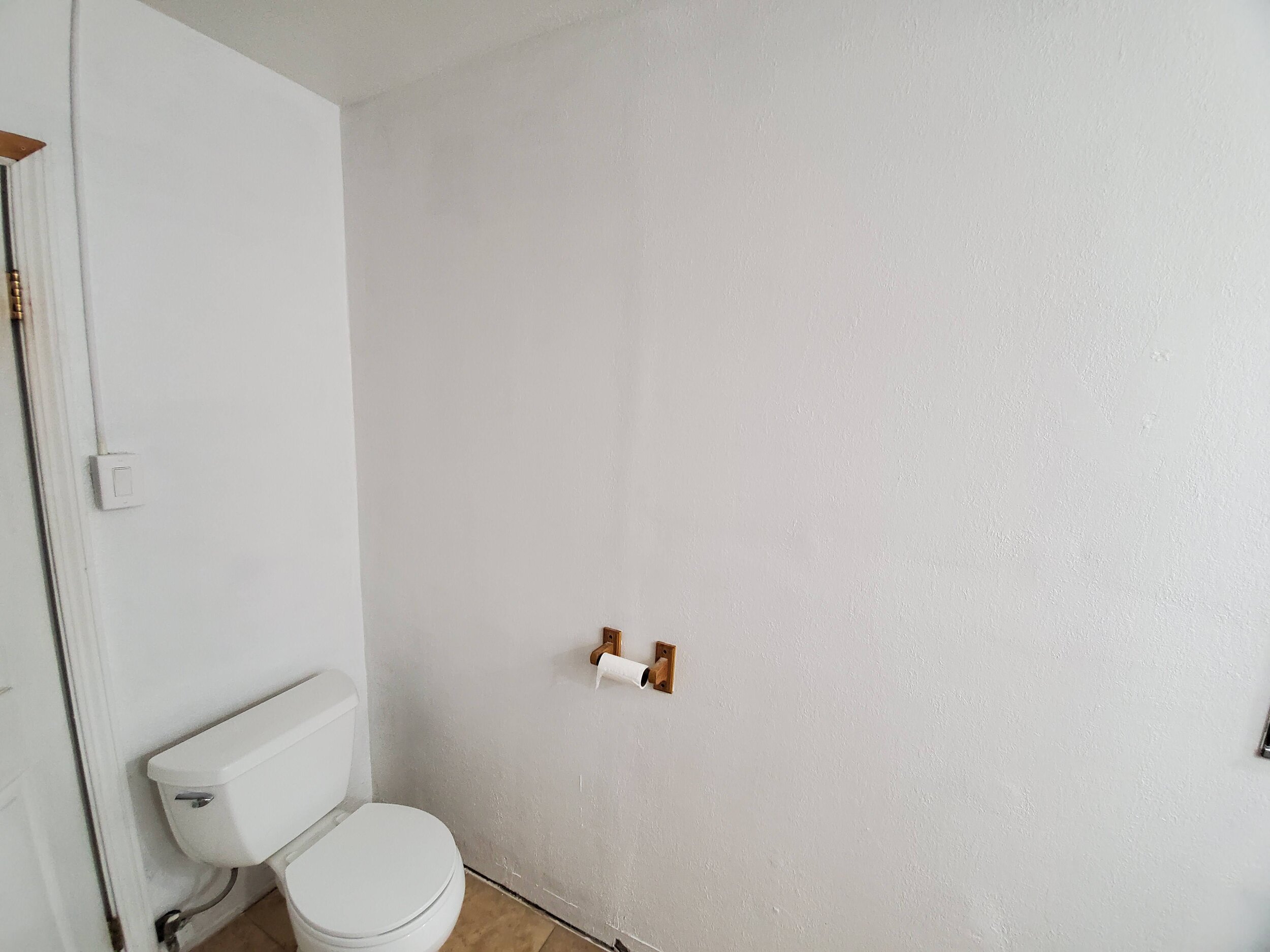 The blank canvas