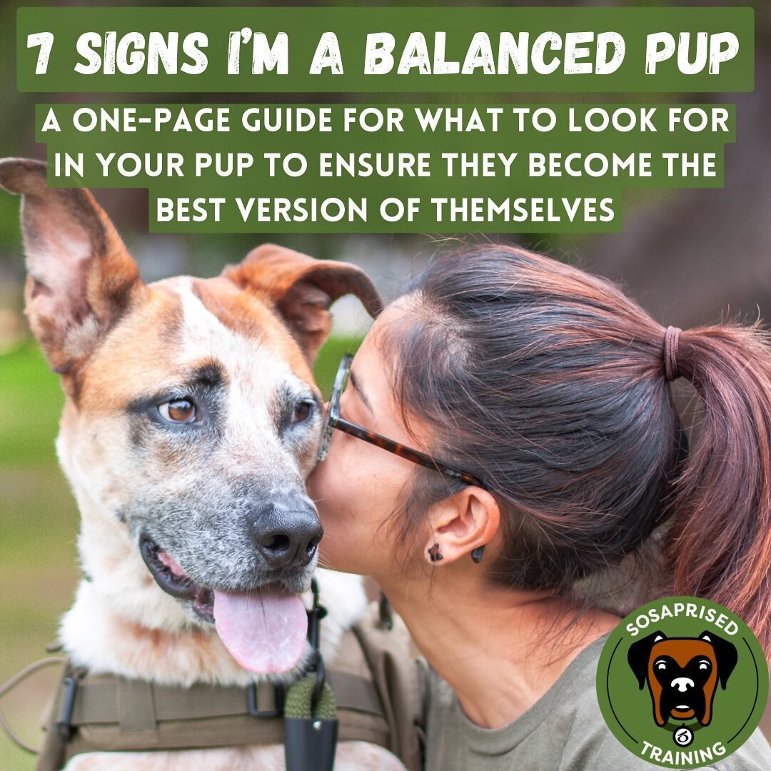 Want to know if you&rsquo;ve achieved the right balance for your pup? That the amount of affection and autonomy and structure and accountability you&rsquo;re providing isn&rsquo;t hindering but enhancing your relationship with your pup? That overall,