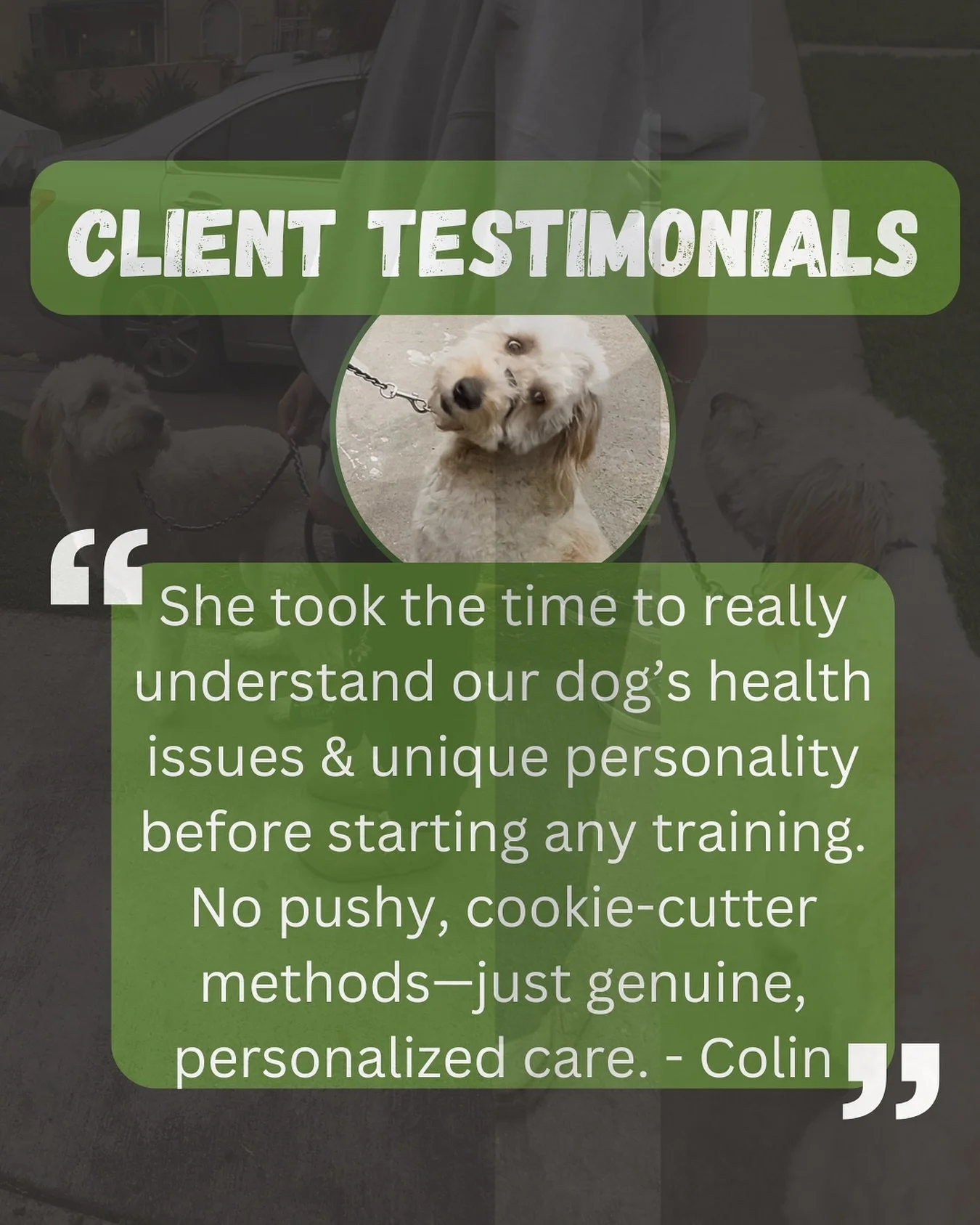Along with having a heart condition, Billi was struggling with her confidence, anxiety, and leash manners especially with momma (which included biting the leash). So we had to get creative here in how we strengthened Billi&rsquo;s relationship with h