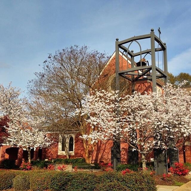 #redeemerbrookhaven #mississippispring #episcopalian #brookhavenms ❤️