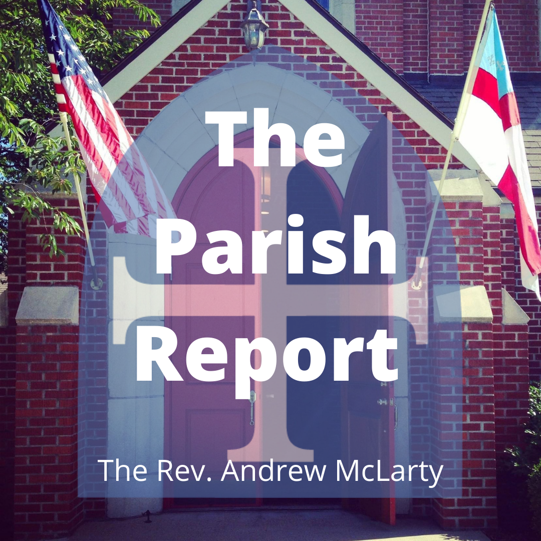 Andrew's Report 2022