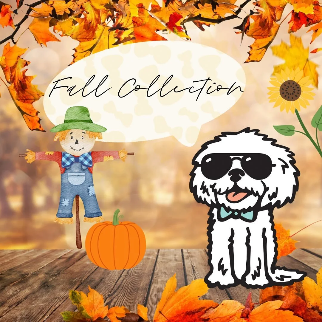 The leaves are changing, and so is Banjo&rsquo;s wardrobe! Our brand-new Fall Collection is packed with cozy, colorful bows inspired by crisp mornings, golden leaves &amp; a cute little scarecrow! 
Put down your PSL ☕️ &amp; be sure to check out our 