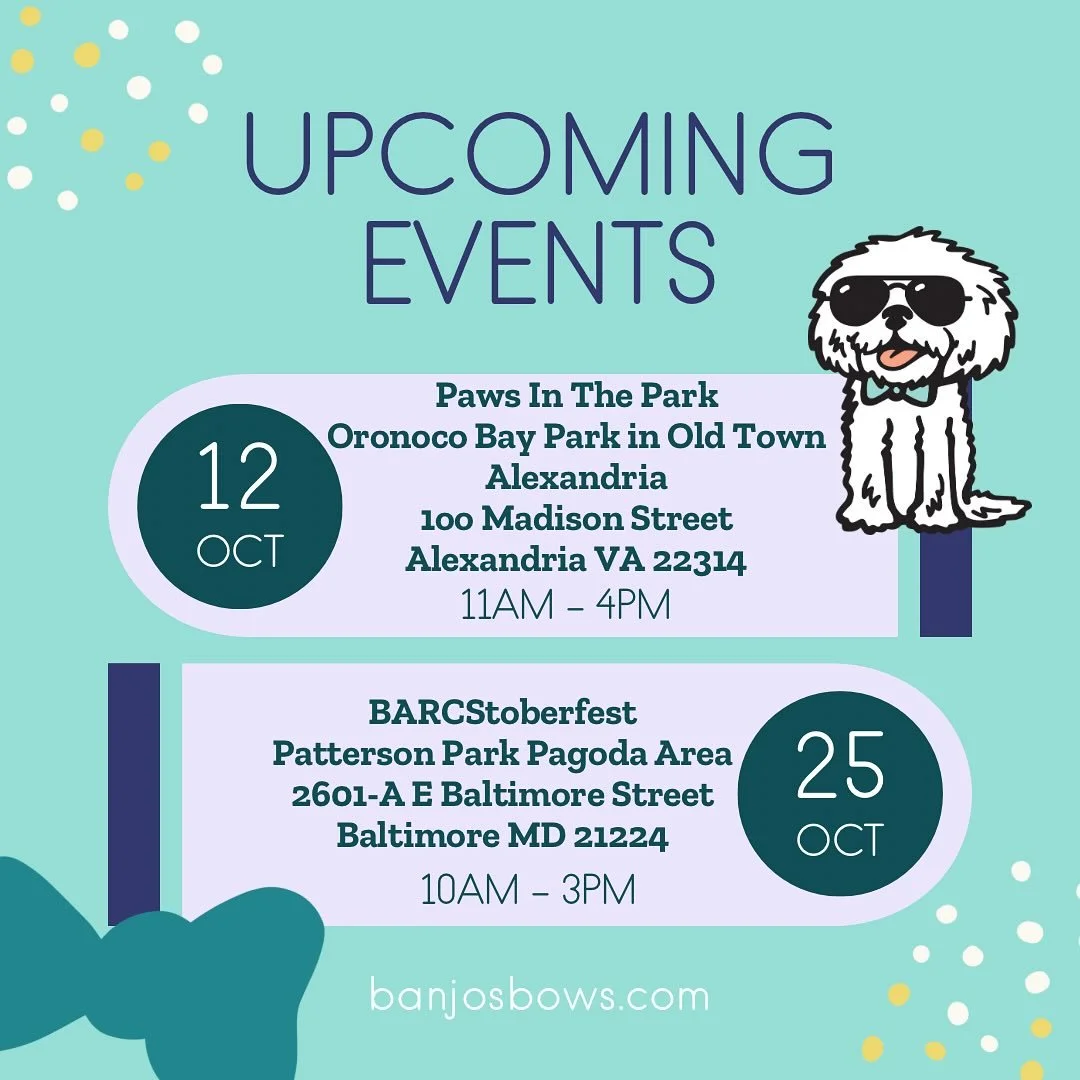 Upcoming Events List! 🥰💚🩵🧡
Looking forward to seeing everyone out &amp; enjoying this beautiful fall weather! 
@banjos_bows 
banjosbows.com/shop
.
.
.
#banjosbows #banjoapproved #upcomingevents #fall #howloween #halloween #dogsofcharmcity #dogsof