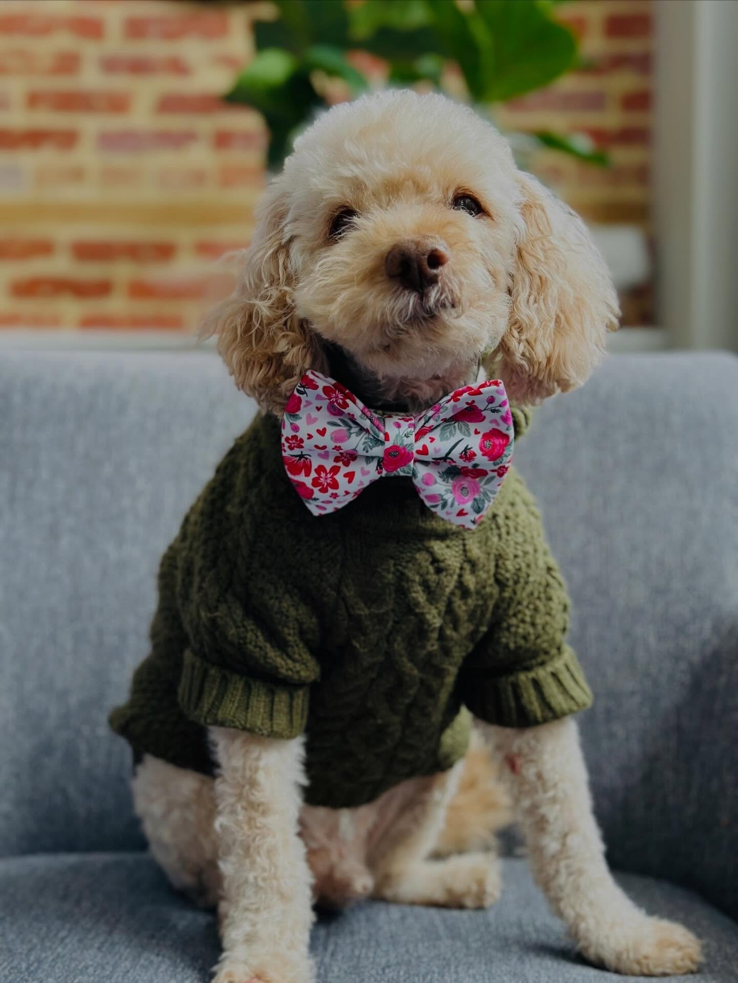 Thank you to our wonderful friends @furberrybyjaidah located @mollys_baltimorepeninsula for our fresh cut! 
They are the best in the business at taking care of our loved 🐶 ones - both at Grooming &amp; Day Care! We have some of our bows available fo