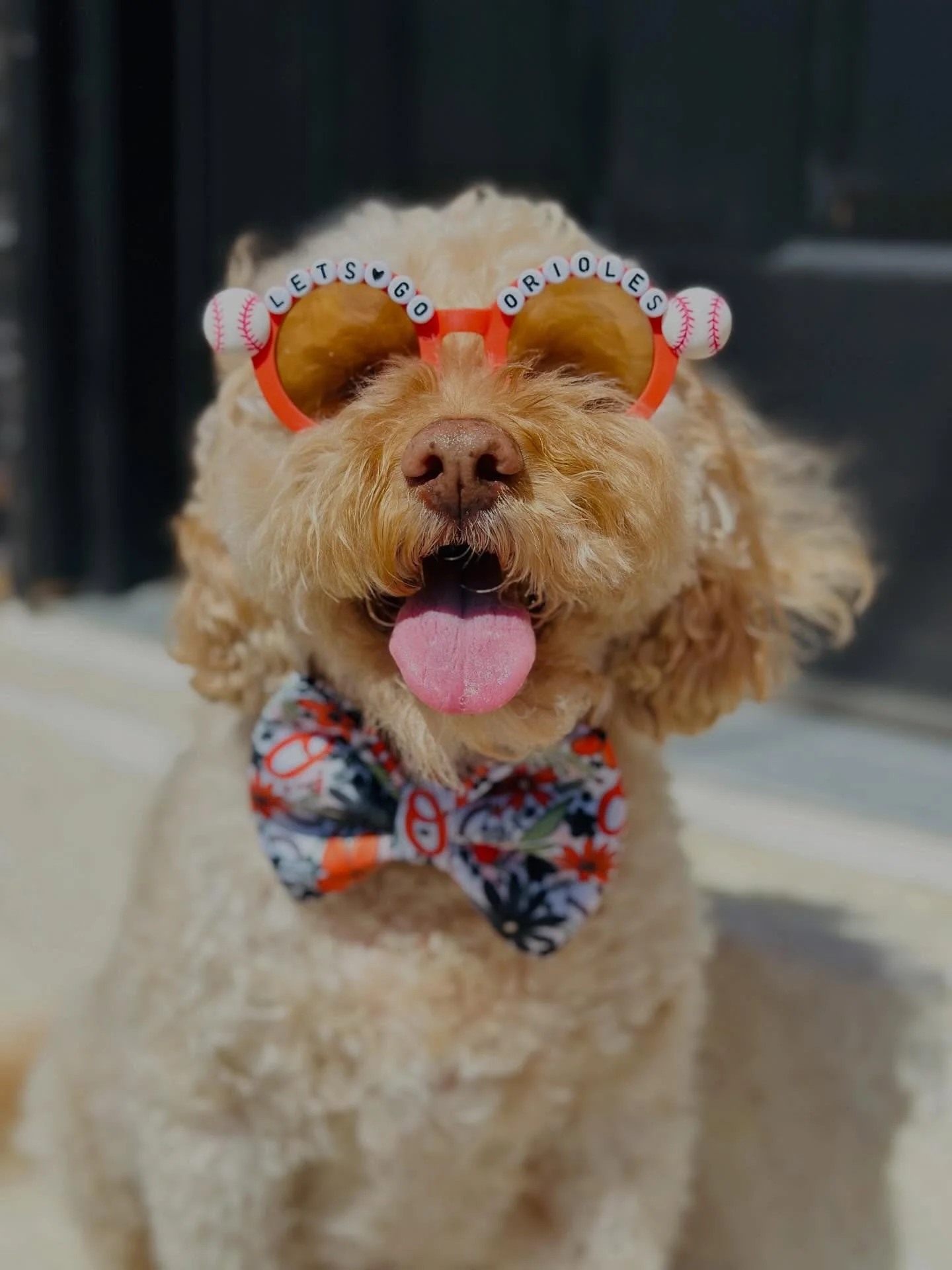 Opening Day at Oriole Park at Camden Yards 🧡🖤⚾️

Nothing beats that first pitch feeling, the sea of orange, and the energy in the air. 
Baltimore just hits different on Opening Day.

Let&rsquo;s go O&rsquo;s! 🔥

Thanks to @chipper_the_dood for our
