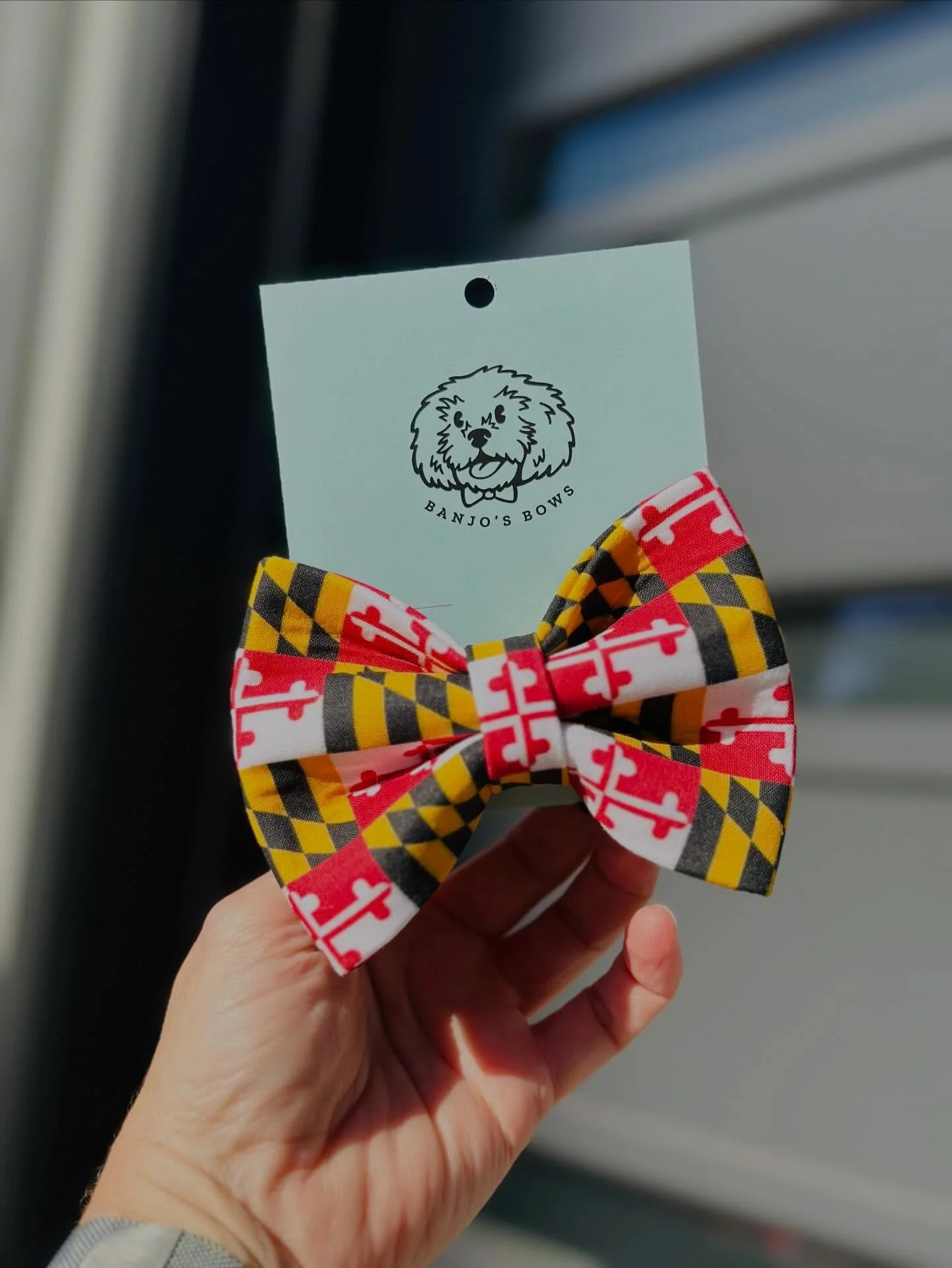 From all of us at Banjo&rsquo;s Bows 🤍🐾

Thank you to our incredible community&mdash;our customers, friends, and fellow dog lovers&mdash;for the outpouring of love, beautiful flowers, and kind messages over the past week. It has meant the world to 