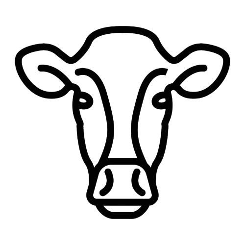 Line drawing of a cow's head outline