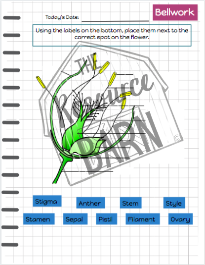 Example Bellwork 2.png