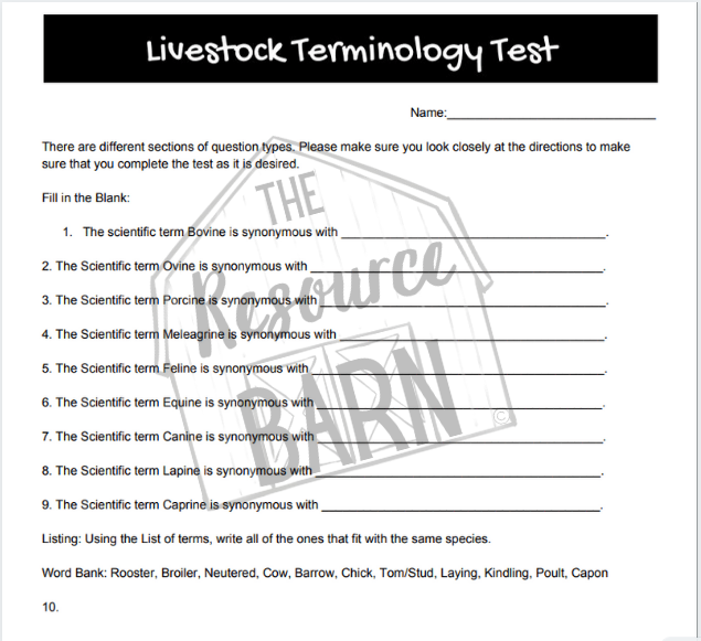 Planning Your Future Worksheet — The Resource Barn