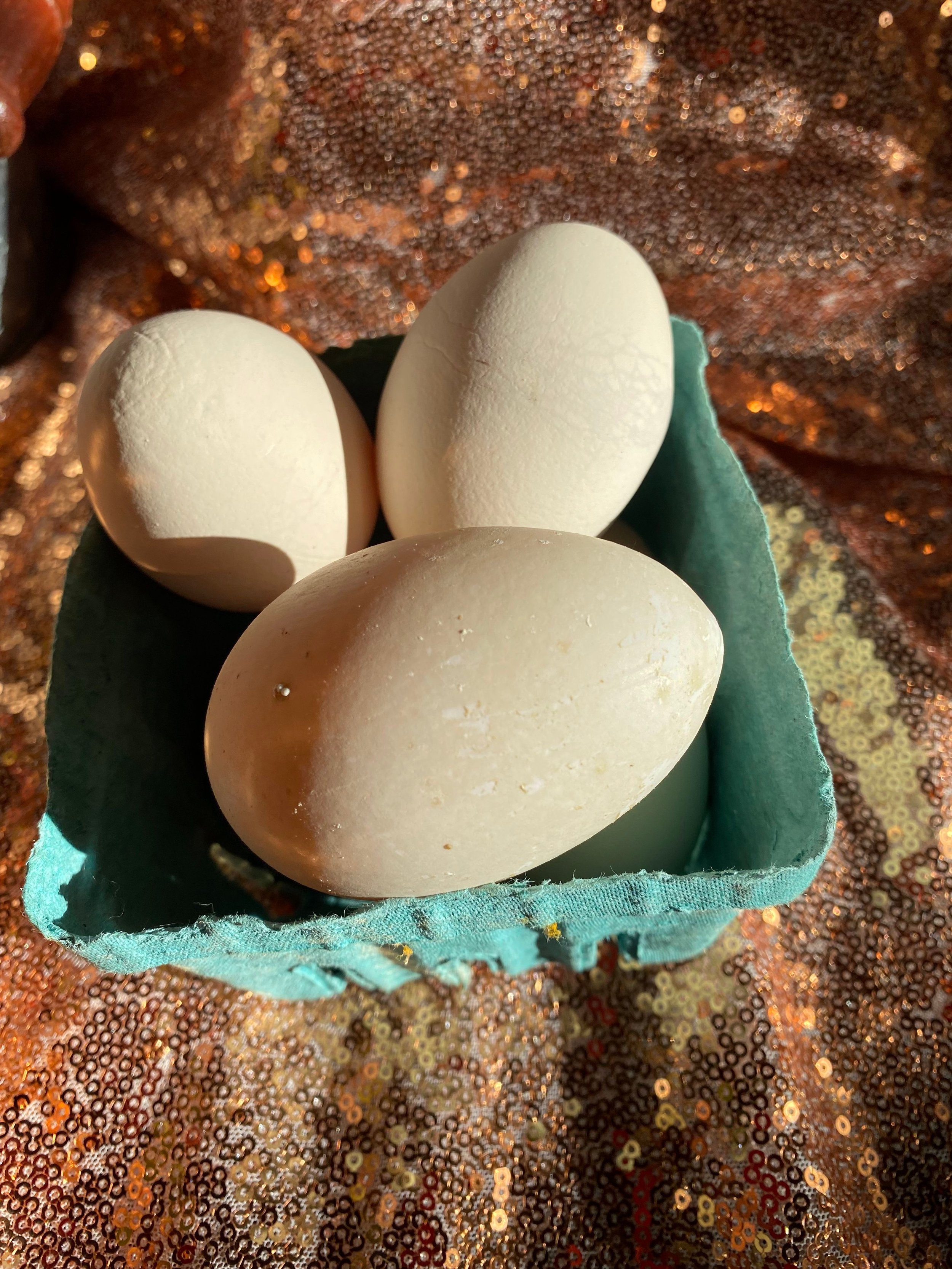 duck eggs.jpeg