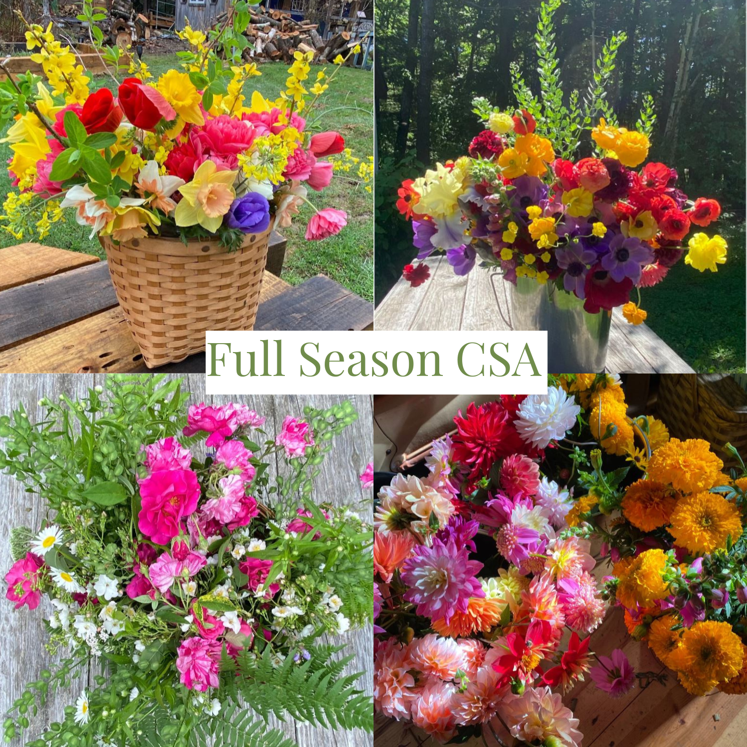 Full Season Flower CSA Share - 22 Weeks
