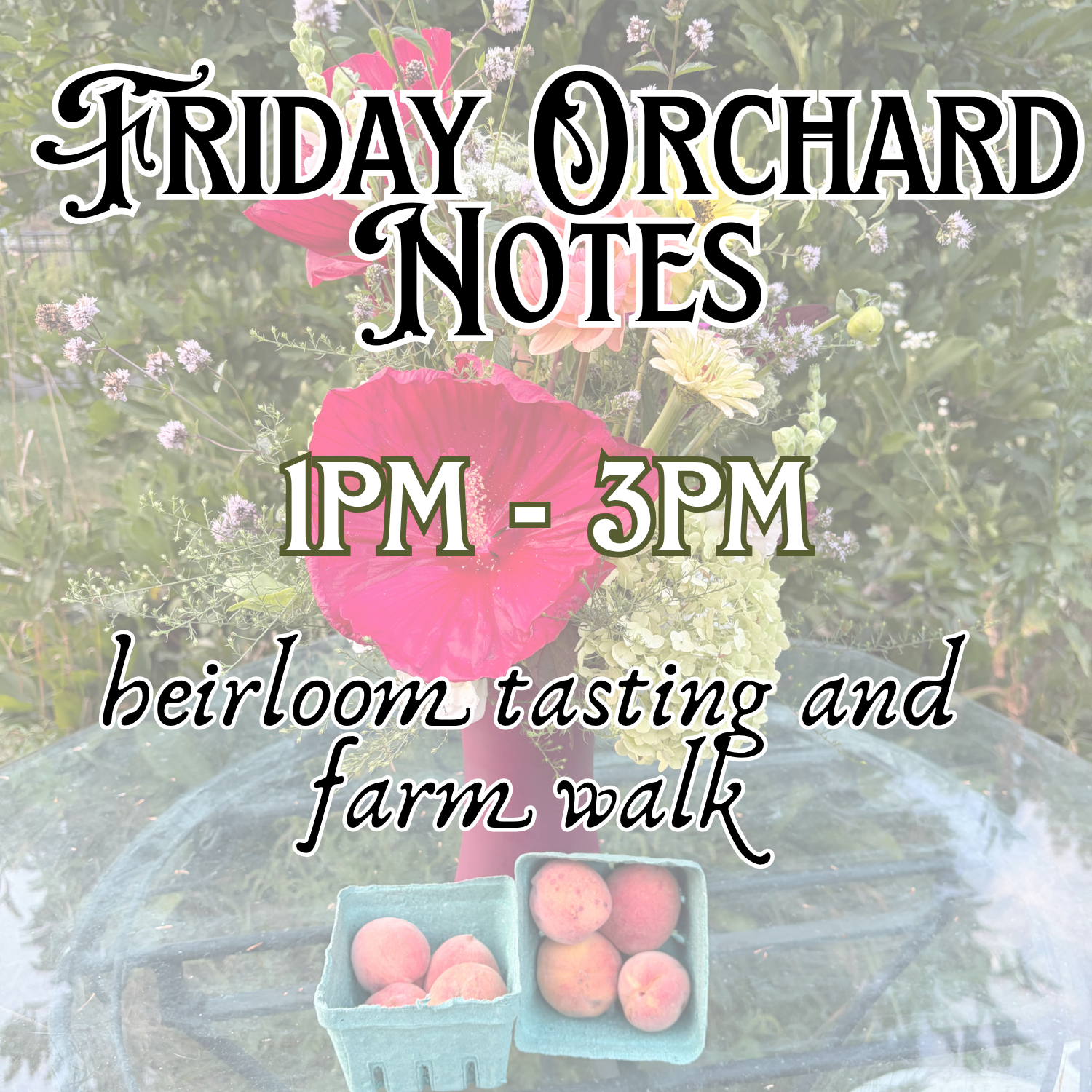 Friday Orchard Notes(1).png