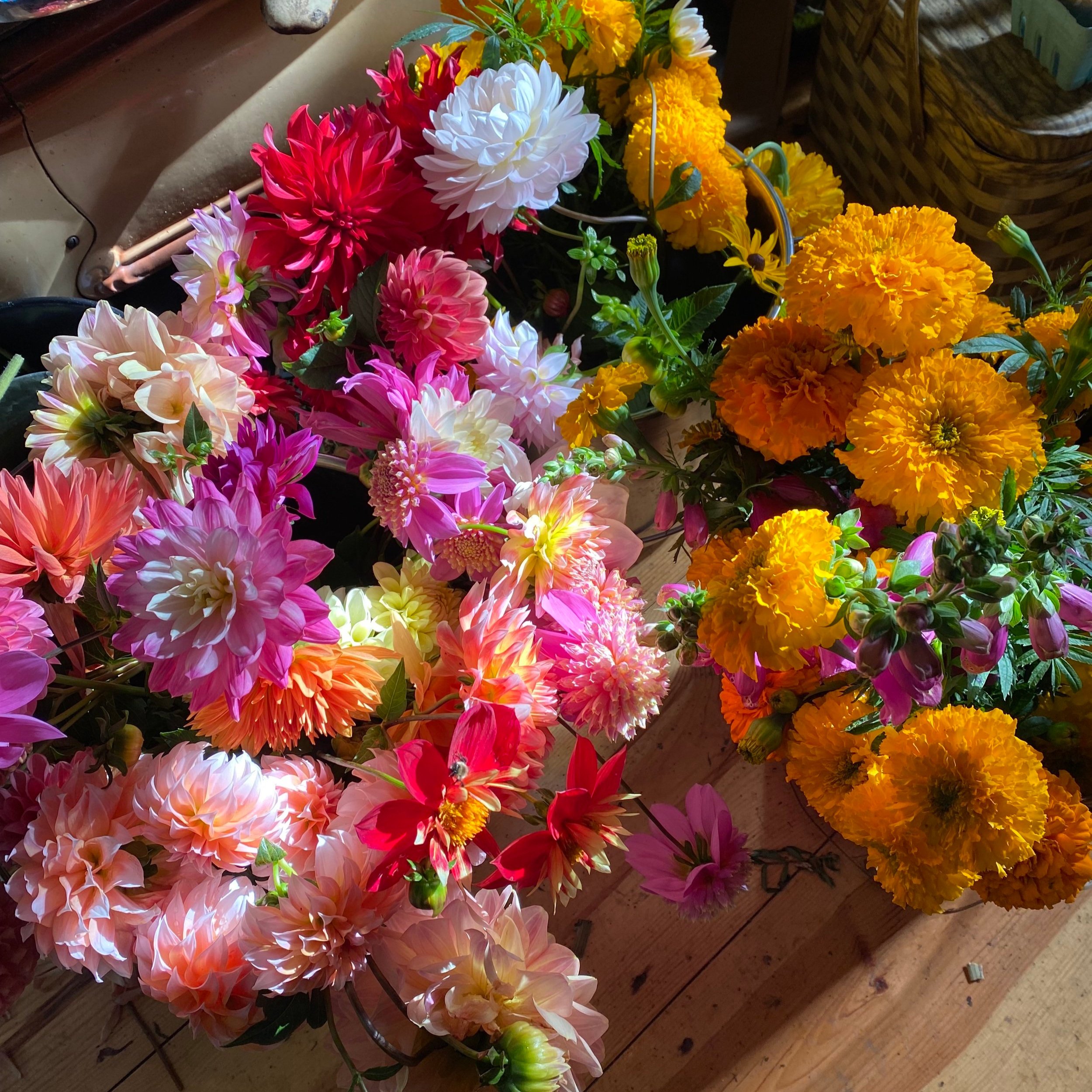 Dahlias+and+Marigolds.jpg