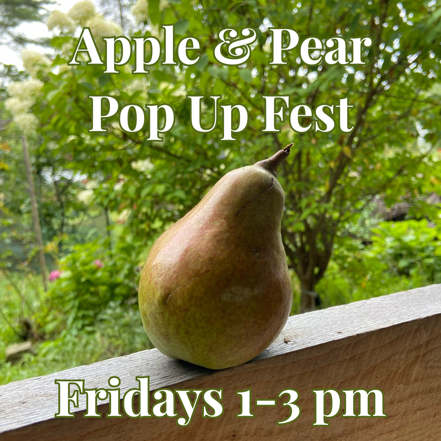 Friday Orchard Notes(3).png
