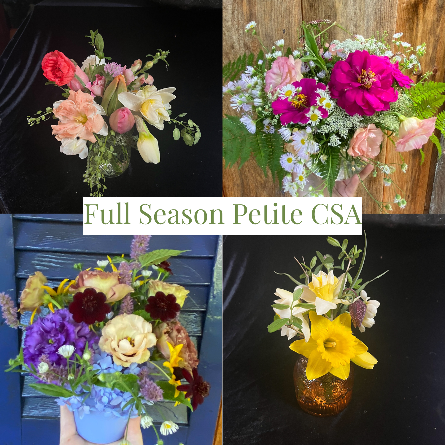Full Season CSA(1).png