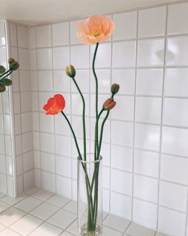 These poppies by @foliarstore are our newest floral obsession, liven up your home with bunches from $15 in-store and online!&nbsp;​
​
​
​​
--
​​#colwillplace
