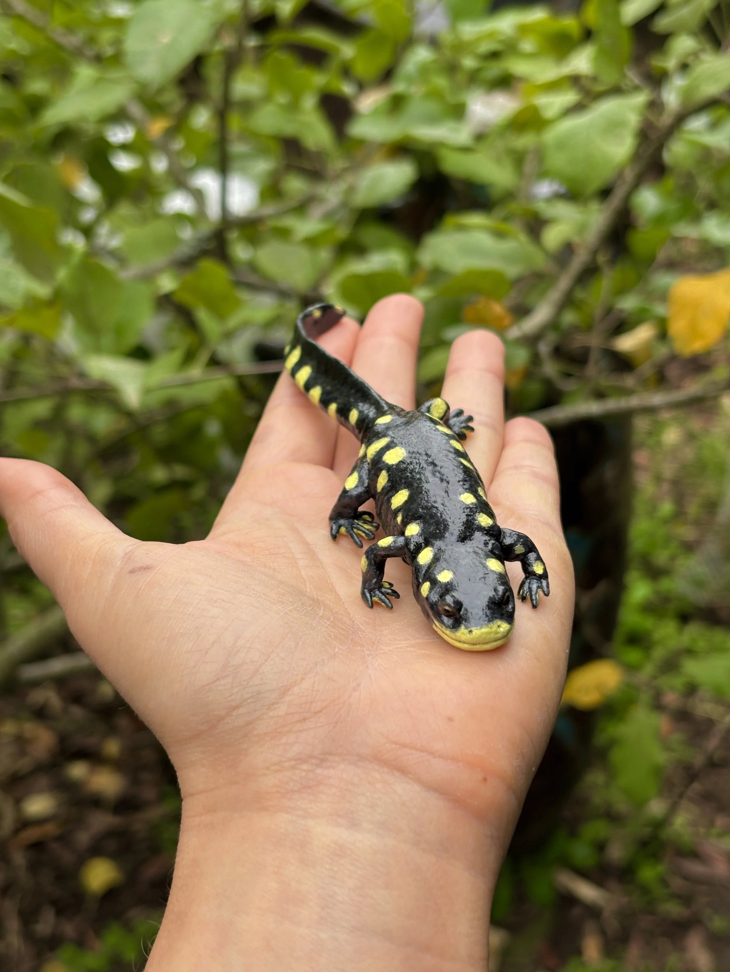 California Tiger Salamander, 2025, Blender