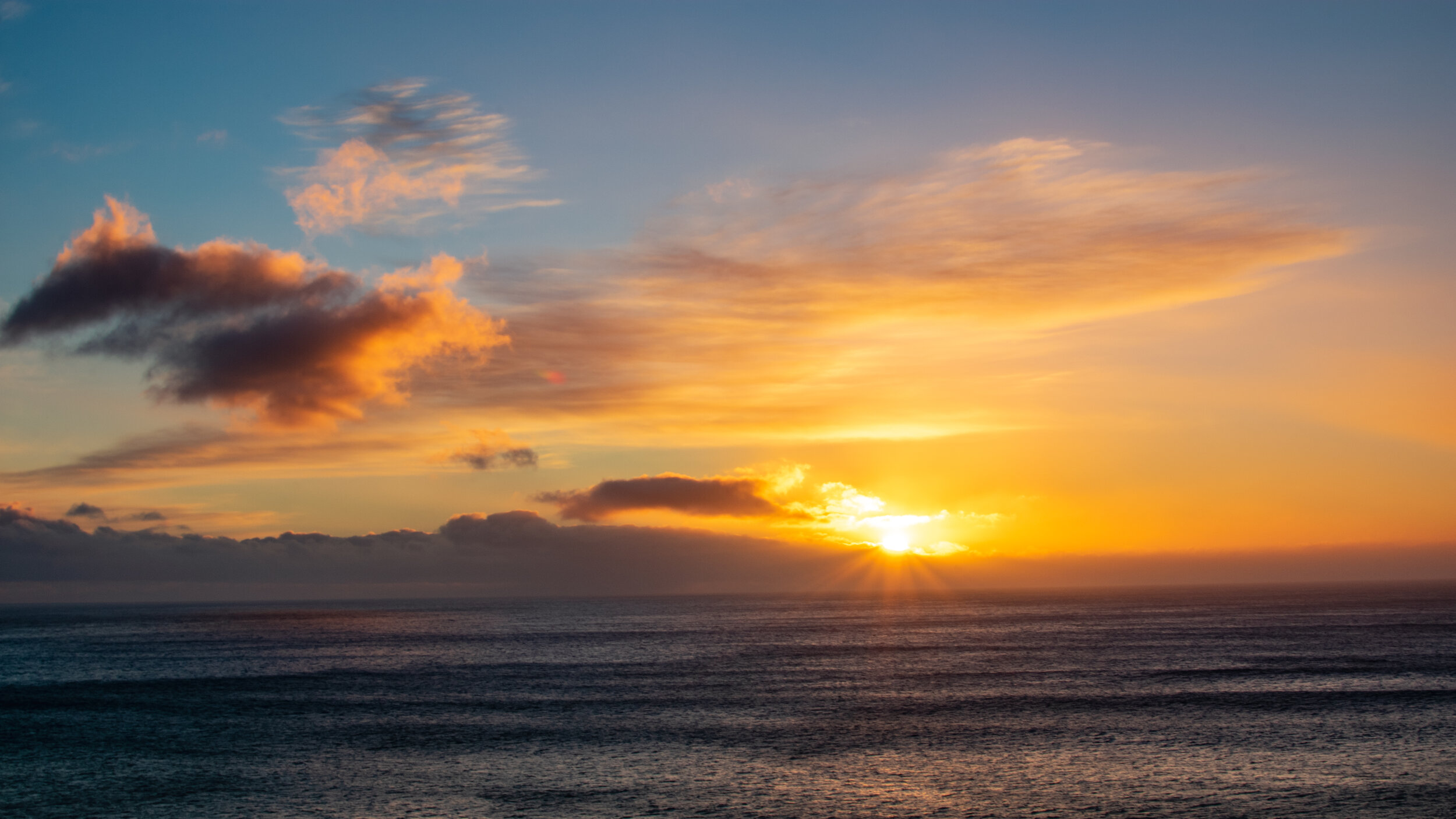 DSC_0746-Edit-Edit.jpg