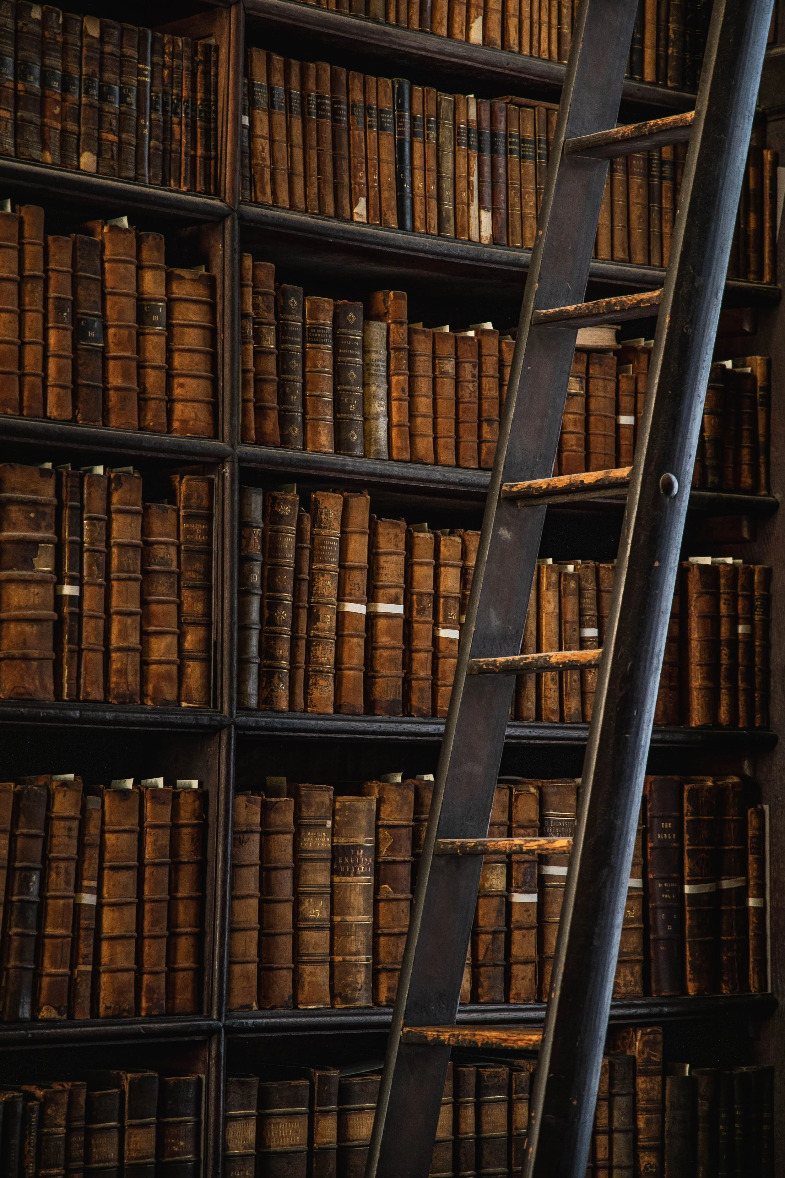A large wooden bookshelf filled with old, leather-bound books, with a black wooden ladder leaning against it.