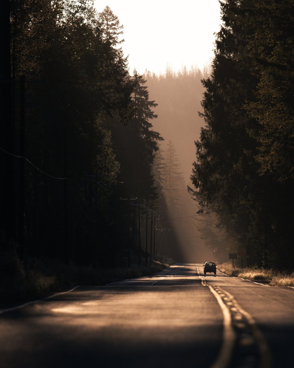 Quiet sunrise morning on a road in Oregon