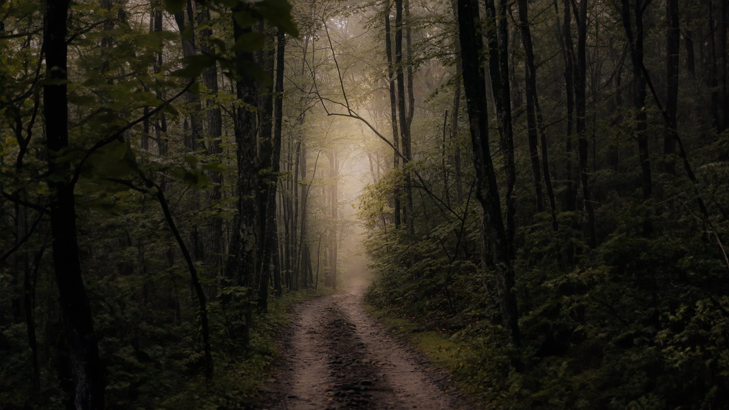 Dirt road going to Mount Rogers in Virginia