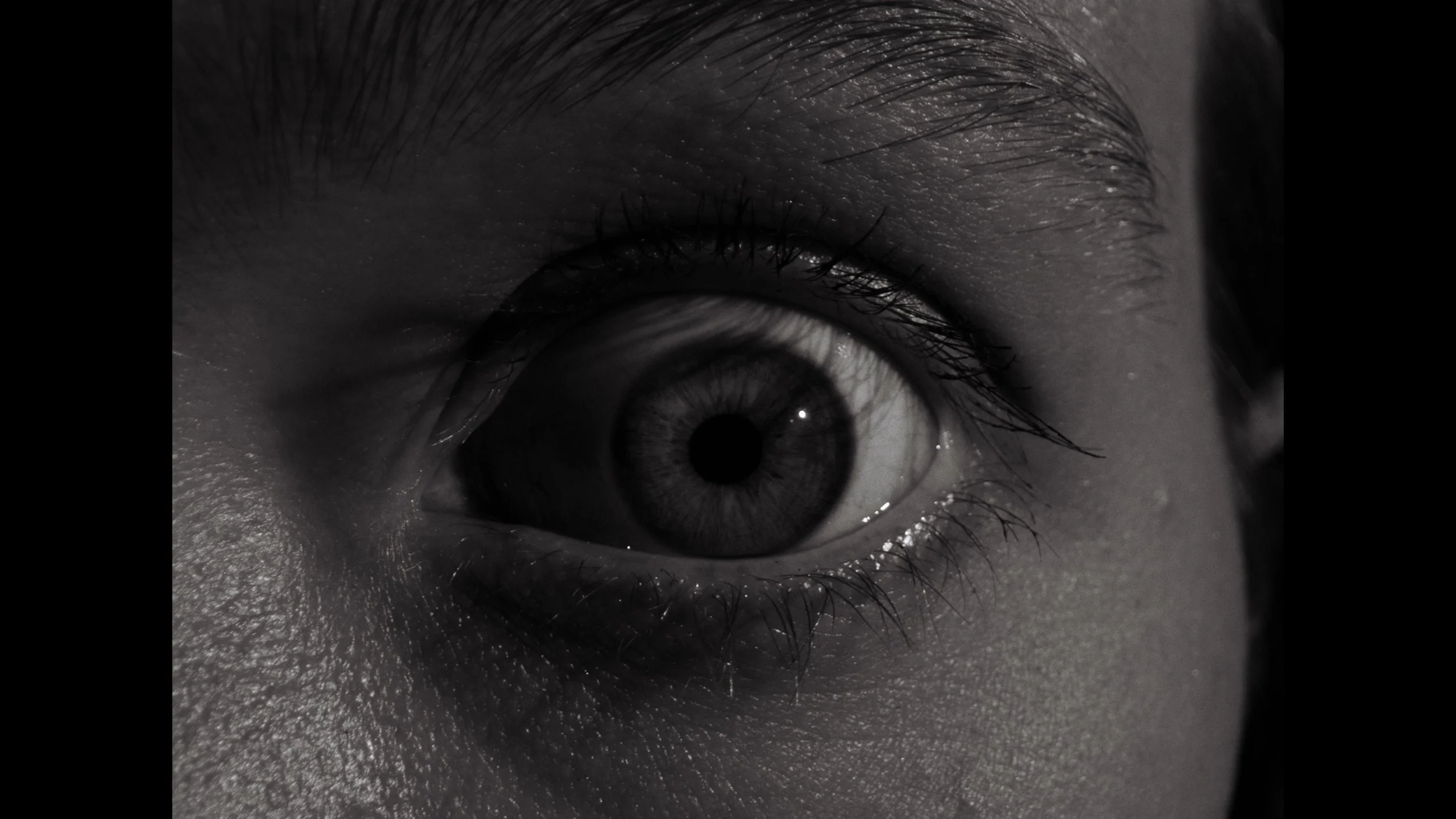  Director / Producer: Cameron Richards Production Company: Full Brightness &amp; Lonely Kite  Format: Arri Amira x Zeiss CP.2 