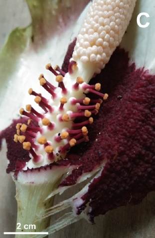 Screenshot 2026-01-12 225057.png