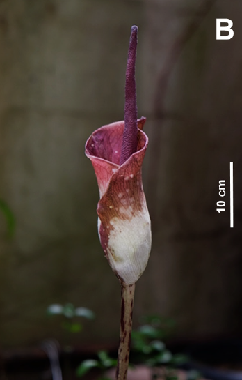 Screenshot 2026-01-12 225045.png