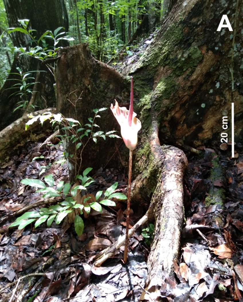 Screenshot 2026-01-12 230357.png