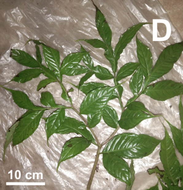 Screenshot 2026-01-12 225109.png