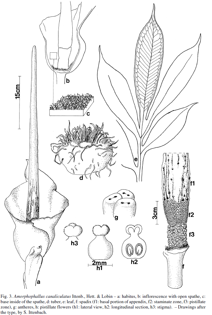 Screenshot 2026-01-12 231224.png