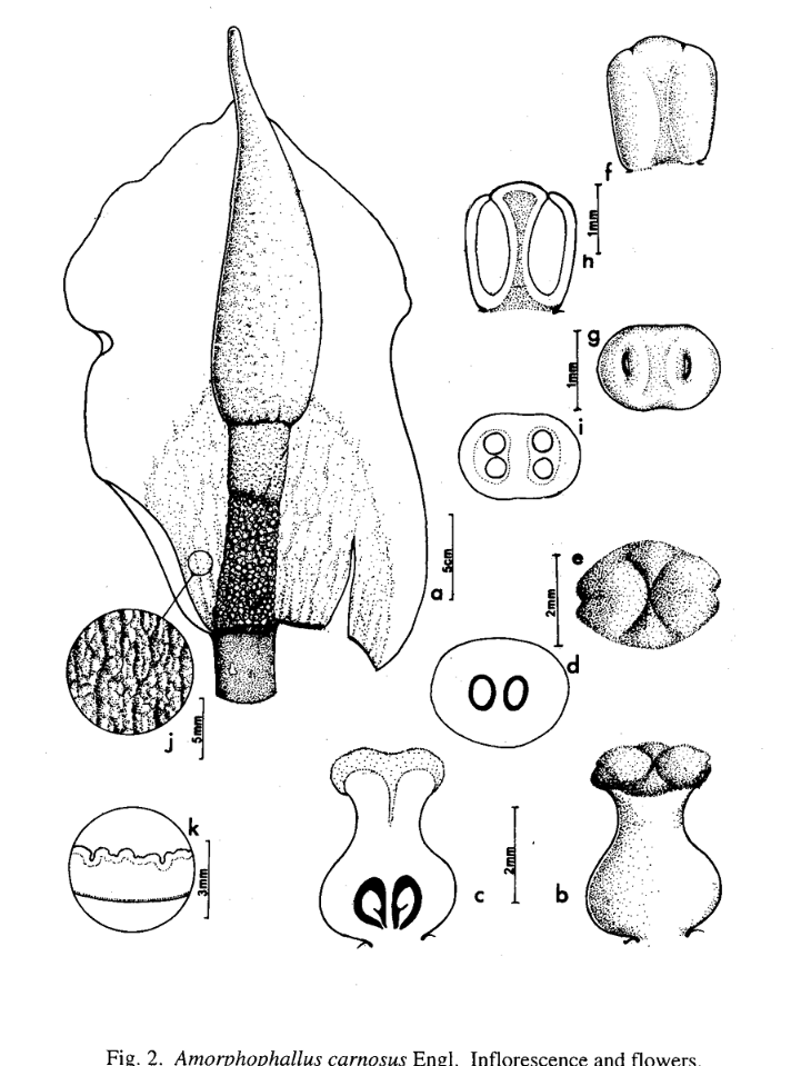 Screenshot 2026-01-18 233221.png