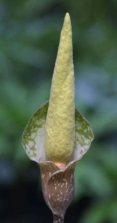 am-crud-08.jpg