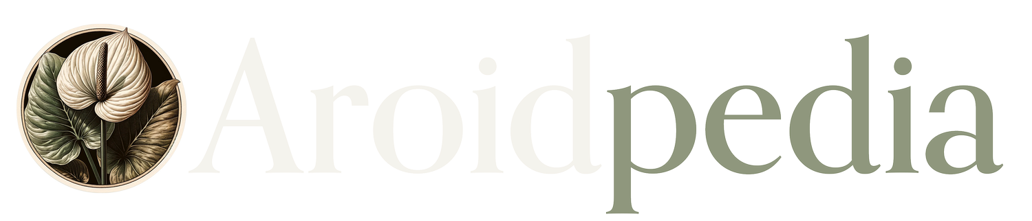 Aroidpedia