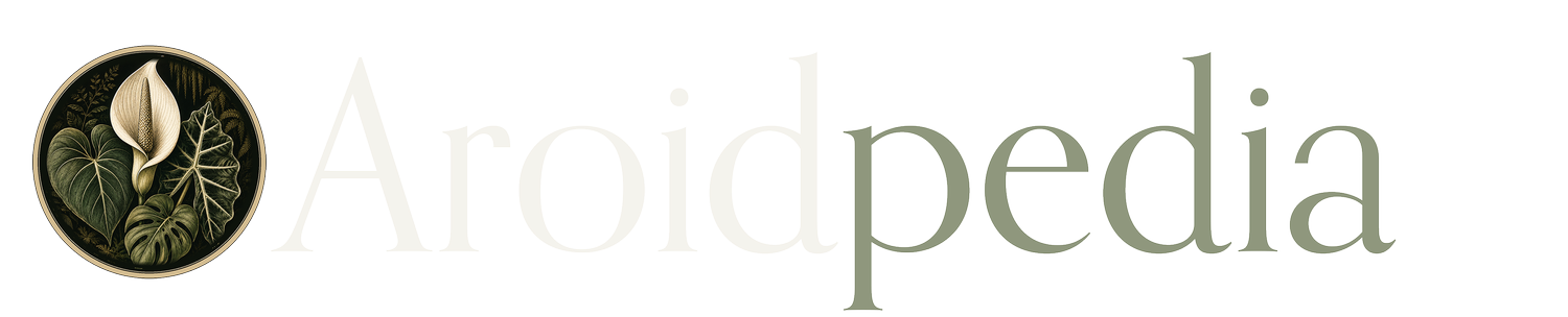 Aroidpedia