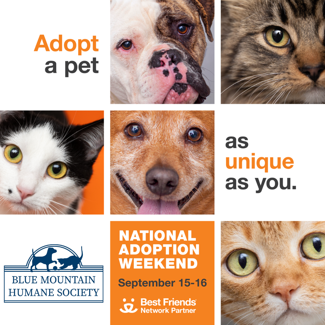 Events — Blue Mountain Humane Society | Animal Welfare in Walla Walla, WA