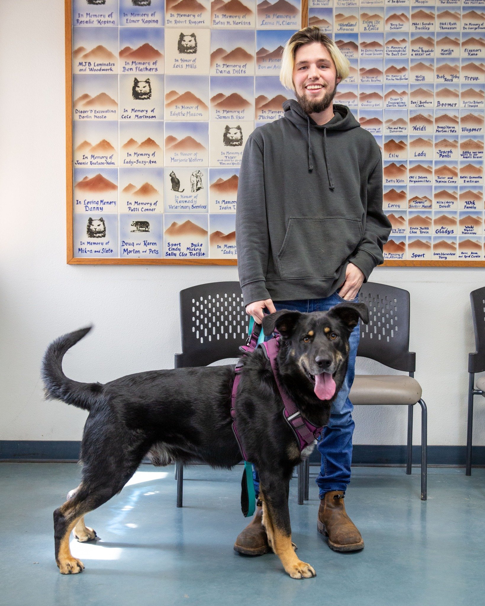 Long Stay Pup Rio Adopted After 190 Days!

We're excited to announce that Rio, one of our beloved long-stay dogs, found his forever home today after an incredible 190 days with us! Izake Sanchez welcomed Rio into his forever home! Staff and volunteer