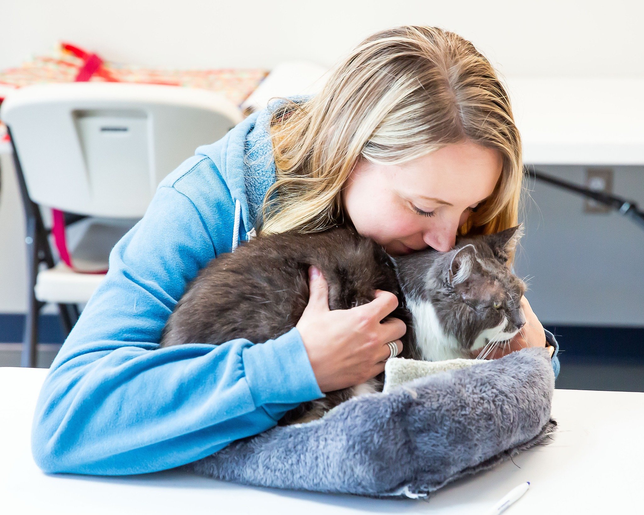 Henry joined our staff meeting with Dr. Rice yesterday! He&rsquo;s such a lovely cat. 

Henry, a charming senior cat with a heart of gold, is currently residing at the Blue Mountain Humane Society. Henry's journey led him to our shelter, where he was