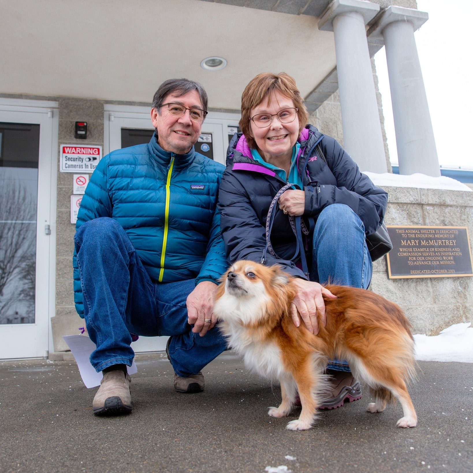 Nala, formerly known as Fluffy, found her forever home with Christine and Robert from Spokane and they shared an update with a couple of photos of her at home! Their dedication to bringing Nala home knew no bounds, enduring winter driving conditions 